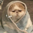 emoji_12 Discord Emoji - YL