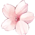 cherryblossom Discord emoji