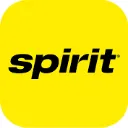 Spirit_1_yellow Spirit_1_yellow