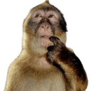 monkeythink Discord sticker from Benjamin dice que no