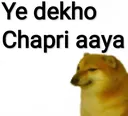 dekho_mafia_aya