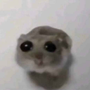 :sadmouse: