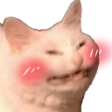 :cattoblush: