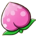 pecha_berry