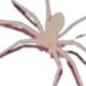 spidey