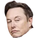 elon