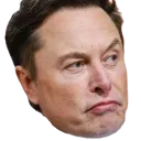 elon2