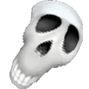 SA_skull