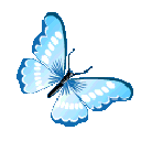 ButterflyBlue2 animated Discord emote | 𓆩❈𓆪 Sylvara Café 𓆩❈𓆪