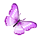 ButterflyMajenta animated Discord emote | 𓆩❈𓆪 Sylvara Café 𓆩❈𓆪