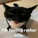 Imfeelingrathersilly_
