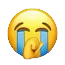 cry