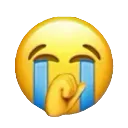 :cry: