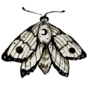 2387moth Discord emoji