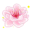 ccpinkblossom