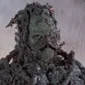 a_swampthumb