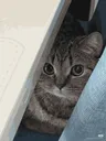 iedgy_catlurk