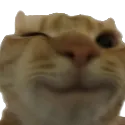 iedgy_ccatwink