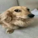 uhm