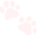 paw