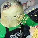 VO