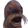 walrus Discord emoji