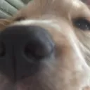 closeup