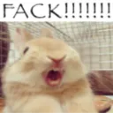 fack