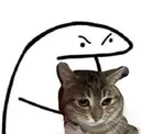 563617angrypawrent