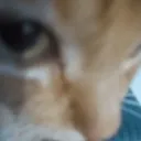 sideeye