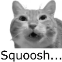 Squoosh