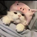 mm_sleepykitty