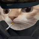 solid_huhcat