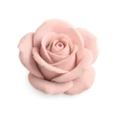 softblushrose
