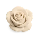 creamrose