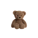 brown_teddybear