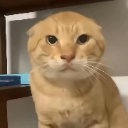 Cattraditional custom emote | MIST妙妙屋