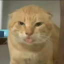 Catlick Discord Emoji - MIST妙妙屋