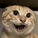 Catcute custom emote | MIST妙妙屋