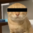 A ginger cat with a black rectangular bar covering its eyes.