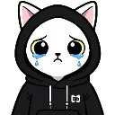 :modo_cry: