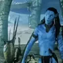Neteyamwalk
