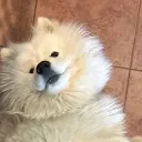 MishkaDerp