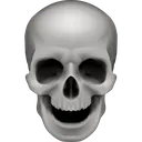 skull