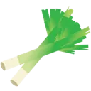 Leek