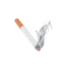 04_cig_icedontsteal