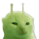 glorp