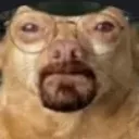 dowglterwhite