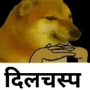 rnx_dilchasp