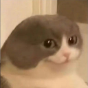 :No: